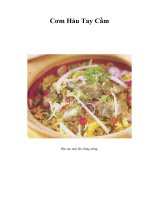 Tài liệu Cơm Hàu Tay Cầm docx