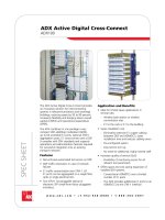 Tài liệu ADX Active Digital Cross-Connect ADX100 docx
