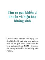 Tài liệu Tìm ra gen khiến vi khuẩn vô hiệu hóa kháng sinh pptx