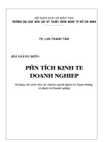 Phân tích kinh tế doanh nghiệp 