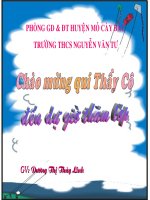 Gián án Bài 19.Mối quan hệ giữa gen và tính trạng