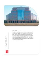 Tài liệu Mary Kay puts a New Face on Wireless pptx