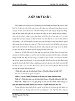 Phân tích cấu trúc tài chính tại công ty cổ phần hàng hải hà nội 