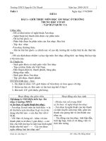 Bài soạn giáo án AN lớp 6