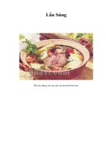 Tài liệu Lẩu Súng pptx