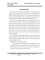 Đại số đa thức và các phương án cài đặt 