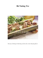 Tài liệu Bò Nướng Tre pdf
