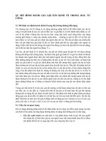 Tài liệu GIÁO TRÌNH MÔ HÌNH TÀI CHÍNH CÔNG PHẦN 2 doc