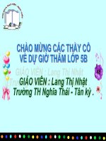 Gián án Sự sinh sản của thú