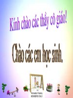 Bài giảng tập làm văn lớp 4