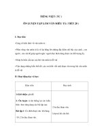 Tài liệu TIẾNG VIỆT - ÔN LUYỆN TẬP LÀM VĂN MIÊU TẢ docx