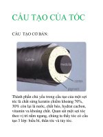 Tài liệu cấu tạo của tóc doc
