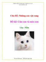 Tài liệu Chủ Đề: Những con vật cưng - Đề tài: Cún con và mèo con - Lớp : Mầm docx