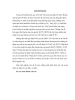 Hiệp định về khía cạnh liên quan đến thương mại và quyền sở hữu trí tuệ của WTO và những vấn đề đặt ra đối với việt nam 