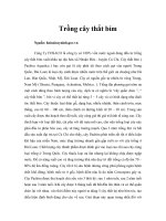 Tài liệu Trồng cây thắt bím pptx