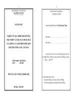 Nghiên cứu quá trình sinh trưởng, phát triển và năng suất, phẩm chất của giống củ cải đỏ trong điều kiện sinh thái ở hòa vang   đà nẵng 