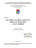 CẤU TRÚC và CHỨC NĂNG của đầm lầy NGẬP mặn ( SALT MARSH 