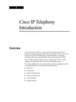 Tài liệu Cisco IP telephony Introduction docx