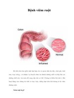 Tài liệu Bệnh viêm ruột ppt