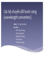 Các bộ chuyển đổi bước sóng 