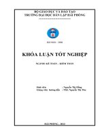 Hoàn thiện công tác kế toán doanh thu, chi phí và xác định kết quả kinh doanh tại công ty trách nhiệm hữu hạn tiếp vận hải long 