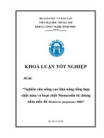 Nghiên cứu nâng cao khả năng tổng hợp chất màu và hoạt chất monacolin từ chủng nấm mốc đỏ monascus purpureus 5085 