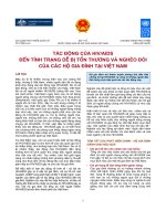 Tài liệu TÁC ĐỘNG CỦA HIV/ AIDS pptx