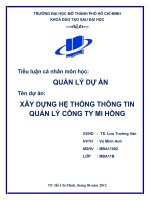 Tên dự án xây DỰNG hệ THỐNG THÔNG TIN QUẢN lý CÔNG TY MI HỒNG 