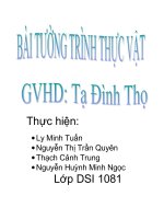 Tài liệu thao cam vien