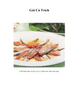 Tài liệu Gỏi Cá Trích pptx