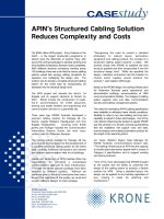 Tài liệu Case Study - APIN ppt