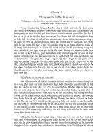 Tài liệu Giáo trình về Văn hóa kinh doanh quốc tế Chương 15+16 pptx