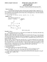 Bài soạn Đề thi học sinh giỏi Huyện môn Hóa học năm học 2010_2011