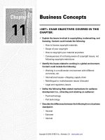 Tài liệu Business Concepts pdf