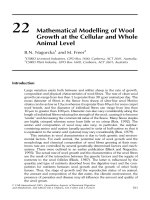 Tài liệu Quantitative aspects of ruminant digestion and metabolism - Phần 17 pdf