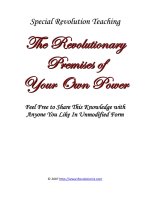 Tài liệu Special Revolution Teaching Power ppt