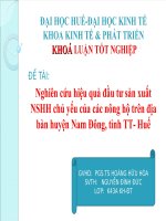 Slide nghiên cứu hiệu quả đầu tư sản xuất NSHH chủ yếu của các nông hộ trên địa bàn huyện nam đông, tỉnh TT  huế 