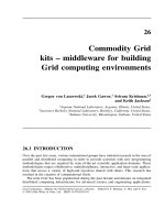 Tài liệu Grid Computing P26 docx