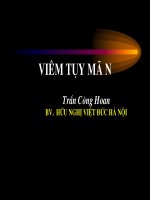 Tài liệu BÀI GIẢNG CT VIÊM TỤY MÃN doc