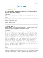 Tài liệu Cơ bản html p3 docx