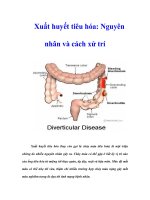 Tài liệu Xuất huyết tiêu hóa: Nguyên nhân và cách xử trí pdf