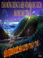 Bài giảng GDCD6, Bài 1, Bài giảng điện tử