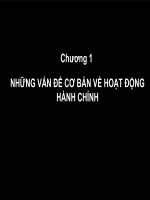 Những vấn đề cơ bản về hoạt động hành chính