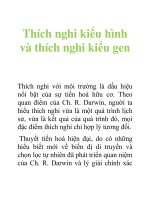 Tài liệu Thích nghi kiểu hình và thích nghi kiểu gen pptx