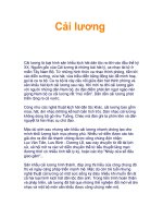 Tài liệu Cải lương docx