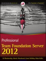 professional team foundation server 2012