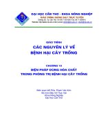 Tài liệu Biện pháp dùng hóa chất cho cây trồng pdf