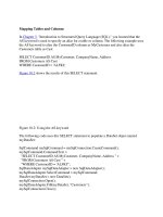 Tài liệu Mapping Tables and Columns docx