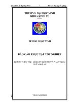 BÁO CÁO THỰC TẬP TỐT NGHIỆP: CÔNG TY ĐẦU TƯ VÀ PHÁT TRIỂN CHÈ NGHỆ AN