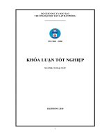 A STUDY ON TRANSLATION OF ENGLISH SHIPPING ENGINEERING TERMS INTO VIETNAMESE 